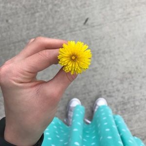 Meet your Posher, Holli